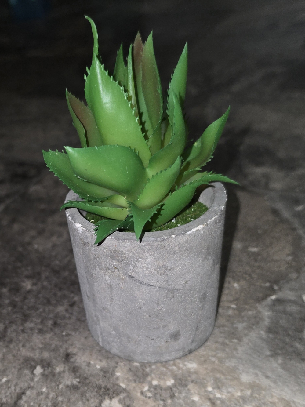 Green Artificial Succulent in Gray Concrete Pot - Home Accents BNIB